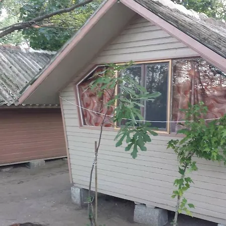 калина - нестинарка Kemping *