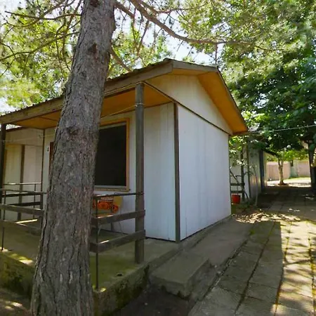 Campsite калина - нестинарка Tsarevo