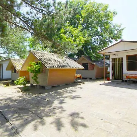 калина - нестинарка * Tsarevo