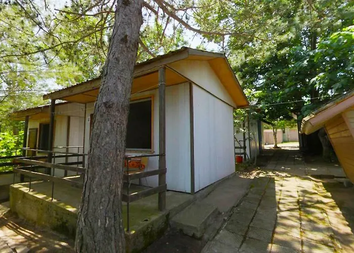 Campsite калина - нестинарка Tsarevo