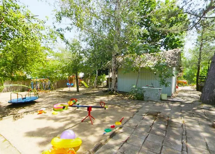 калина - нестинарка * Царёво