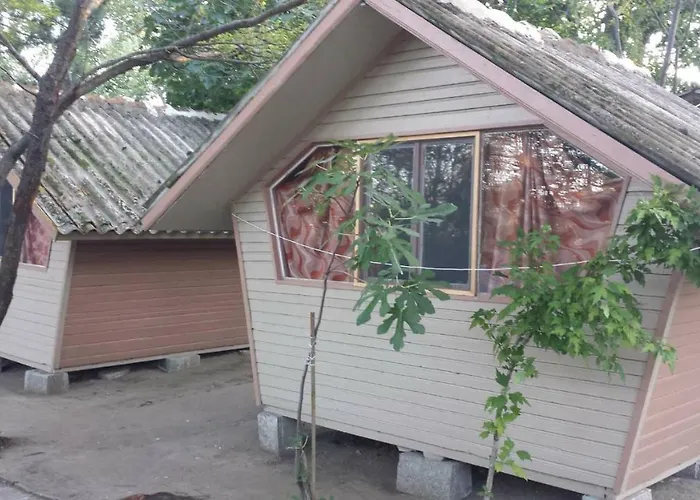 калина - нестинарка Campsite *